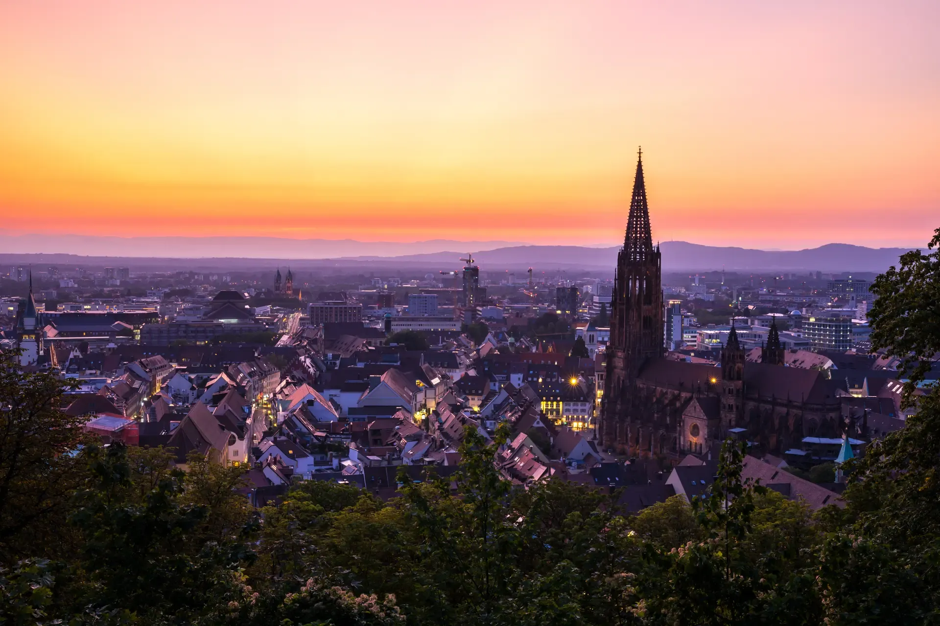 Vue de la ville de Fribourg-en-Brisgau